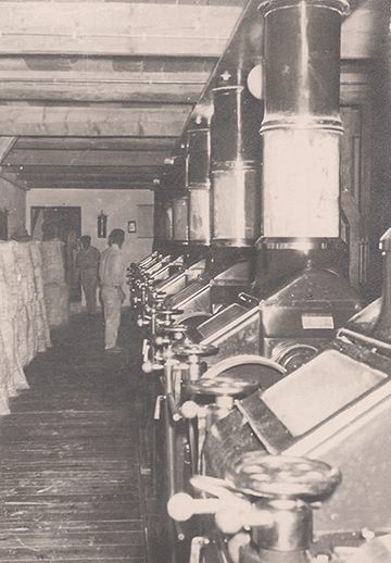 storia farina mulino padano