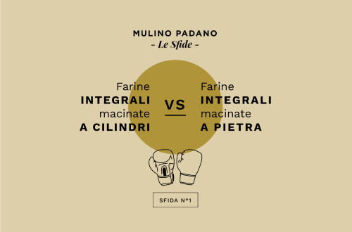Farine integrali macinate a pietra o a cilindri? 5 domande e 5 risposte