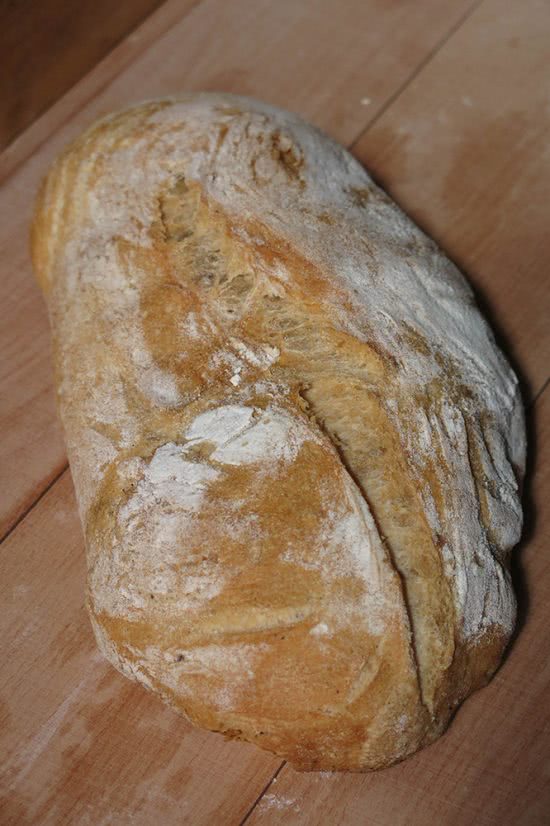 ricetta pane ciabatta con metodo biga