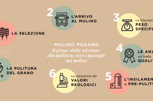 Il grano tenero: tutti i passaggi nel molino, dalla selezione alla pulitura