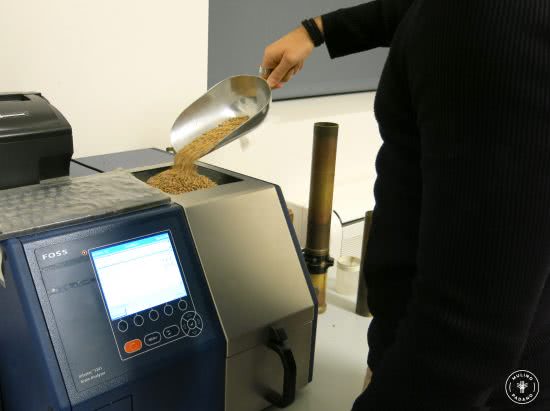 analisi grano