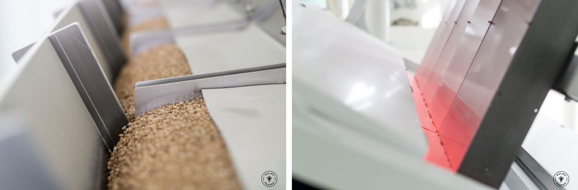 selezionatrice ottica grano tenero