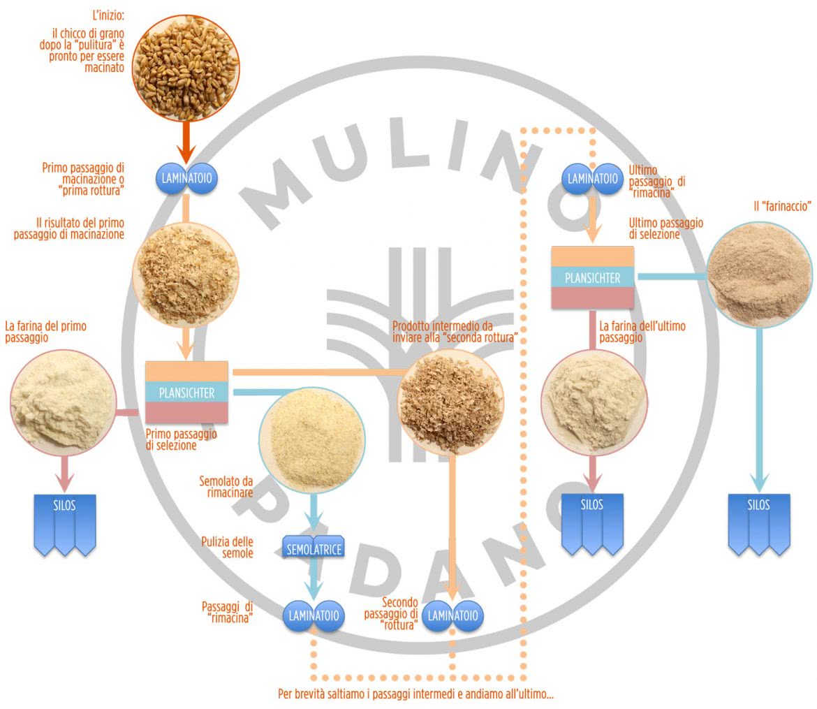 trasformazione del grano in farina: il diagramma di macinazione
