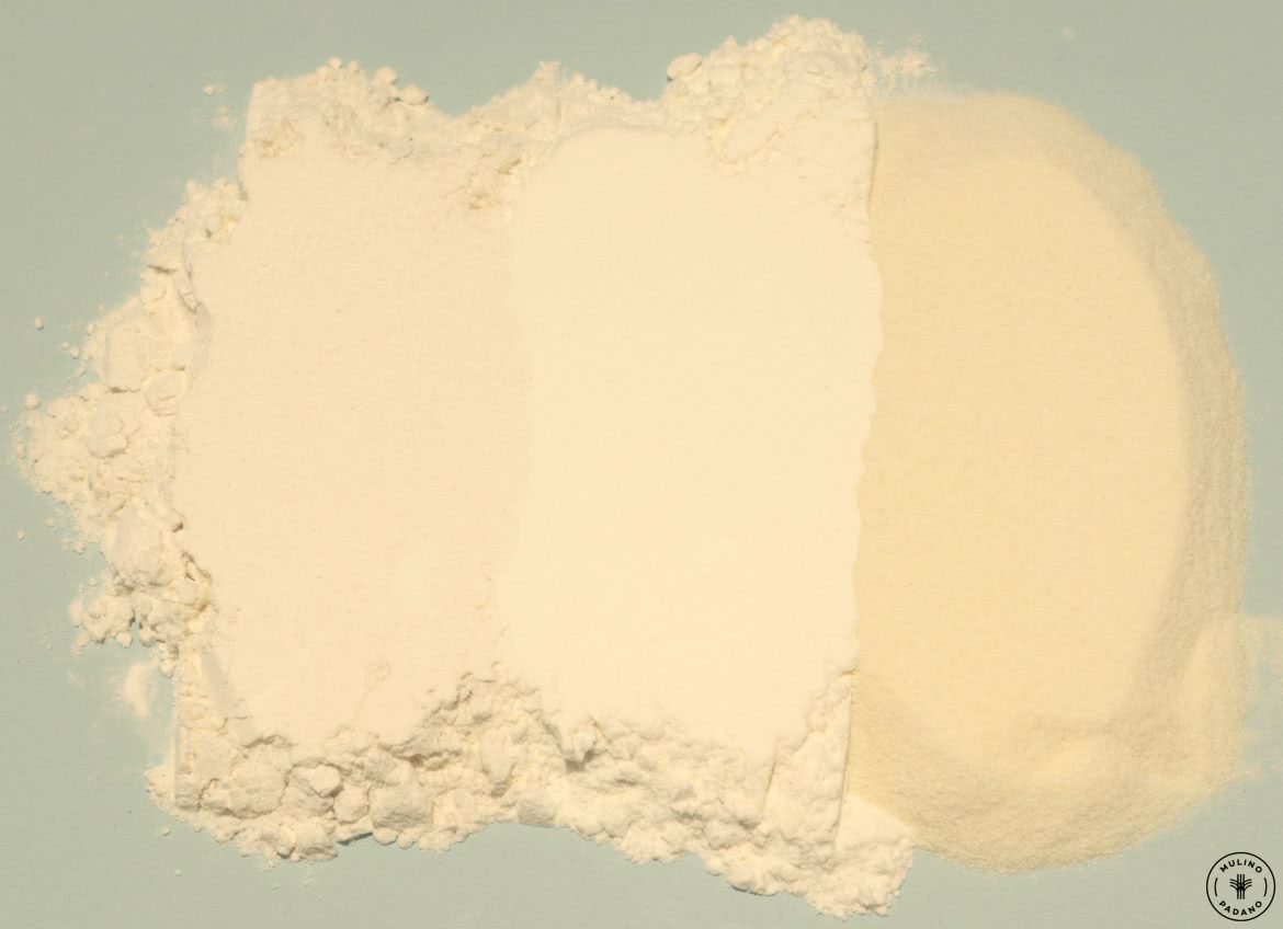 farine per pasta fresca e granito le differenze