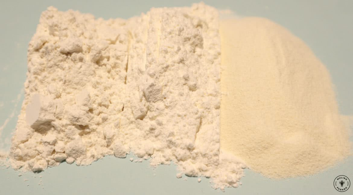 confronto colori farina mulino padano pasta fresca
