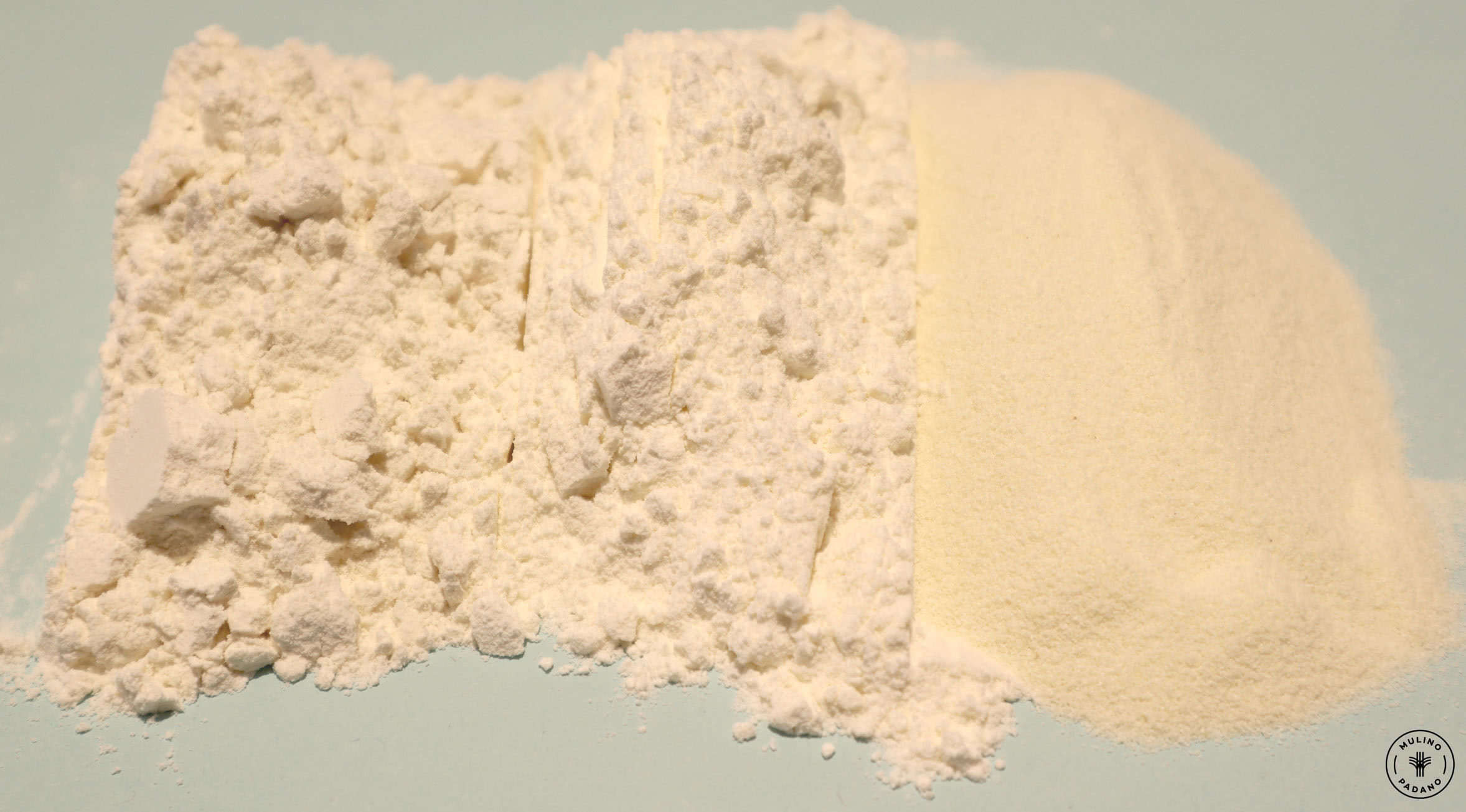 confronto_consistenza_farina_mulino_padano_pasta_fresca