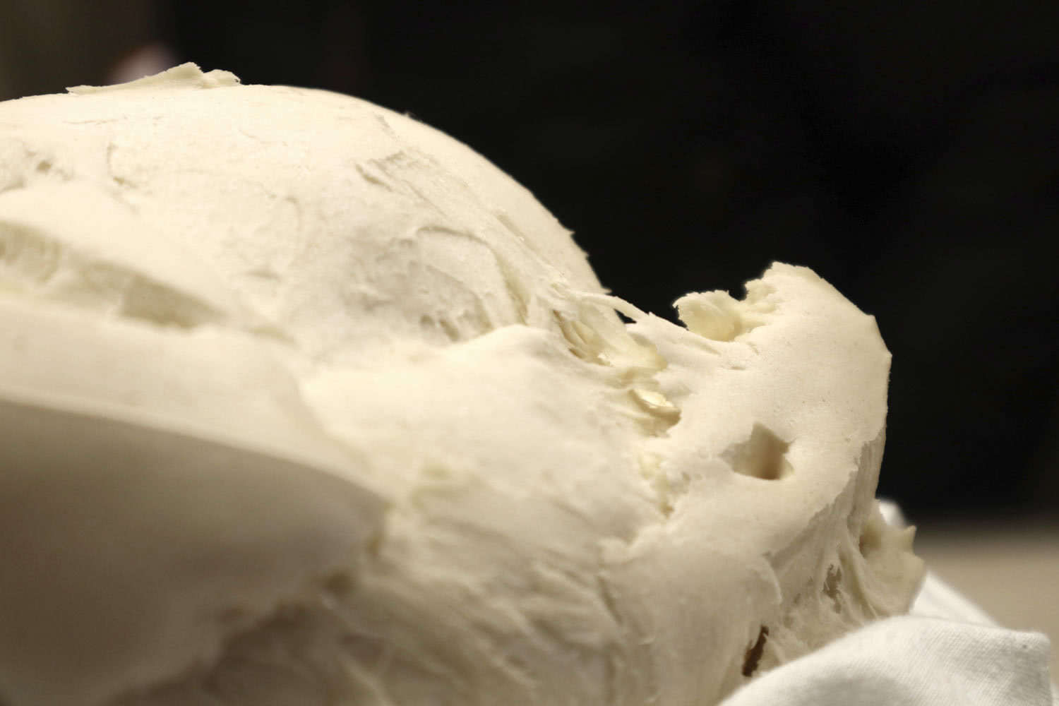 lievito_madre_mulino_padano