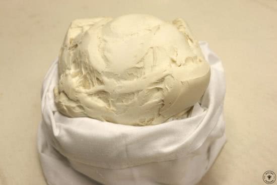 Fig.1 La “sbocciatura” del lievito madre pronto per essere utilizzato.