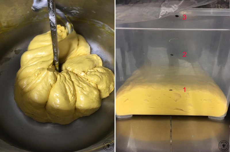 impasto del panettone classico ricetta tradizionale