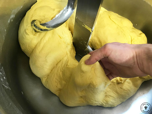 Panettone classico: il secondo impasto ricetta tradizionale