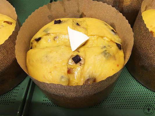 impasto del panettone classico ricetta tradizionale