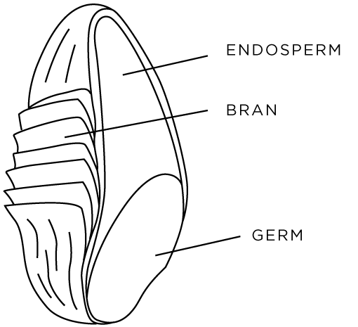 schema-wheat