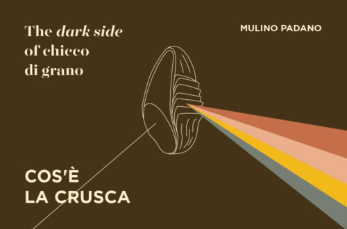 Cos’è la crusca? Ecco la spiegazione completa