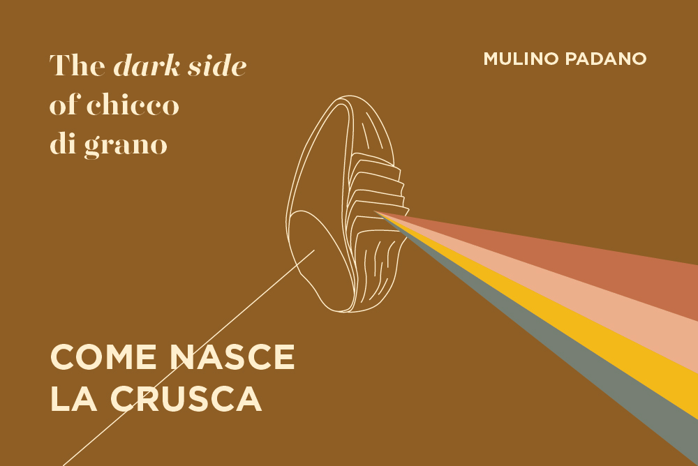 crusca di grano tenero