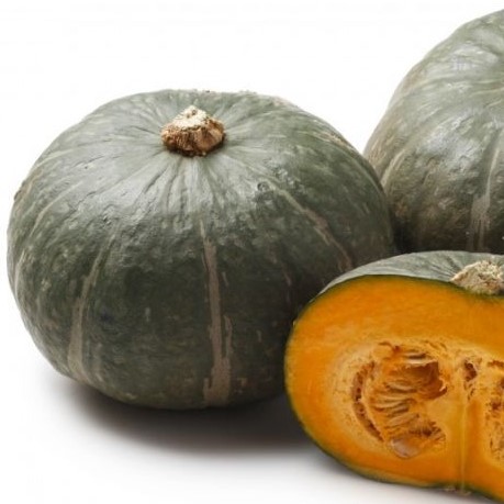 zucca delica per pane speciale