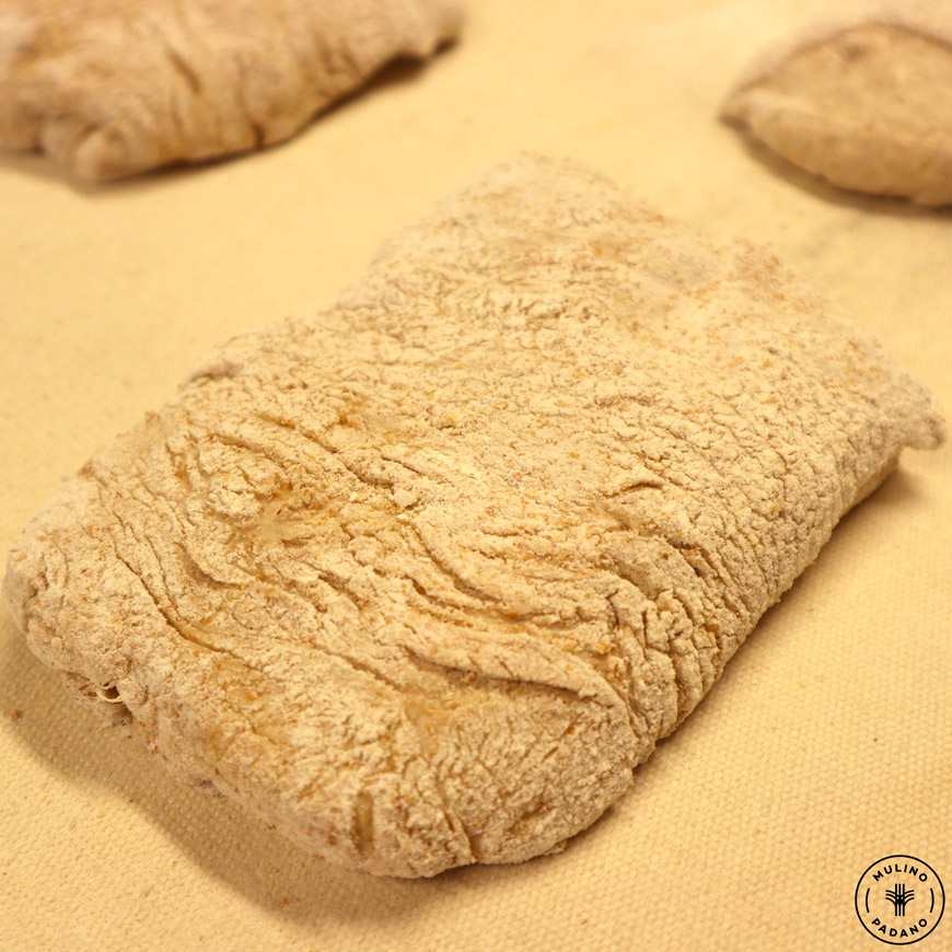 la forma del pane speciale alle noci