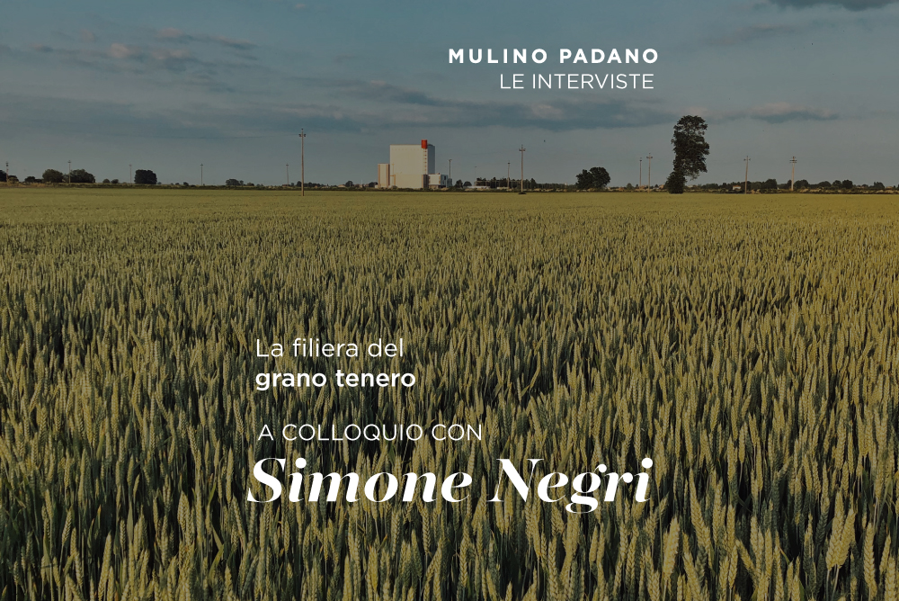 Scopriamo la nostra filiera del grano tenero: a colloquio con Simone Negri