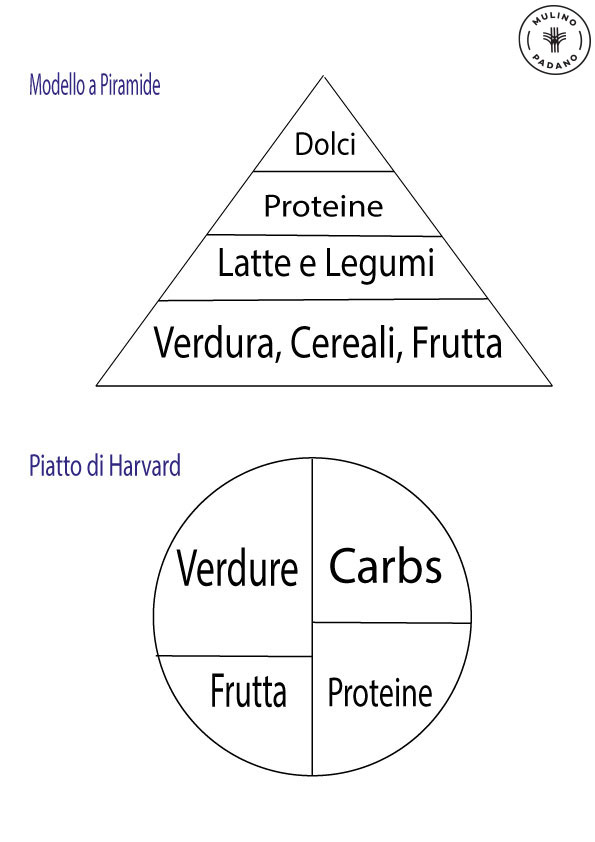 Il piatto di Harvard e l’importanza dei carboidrati 