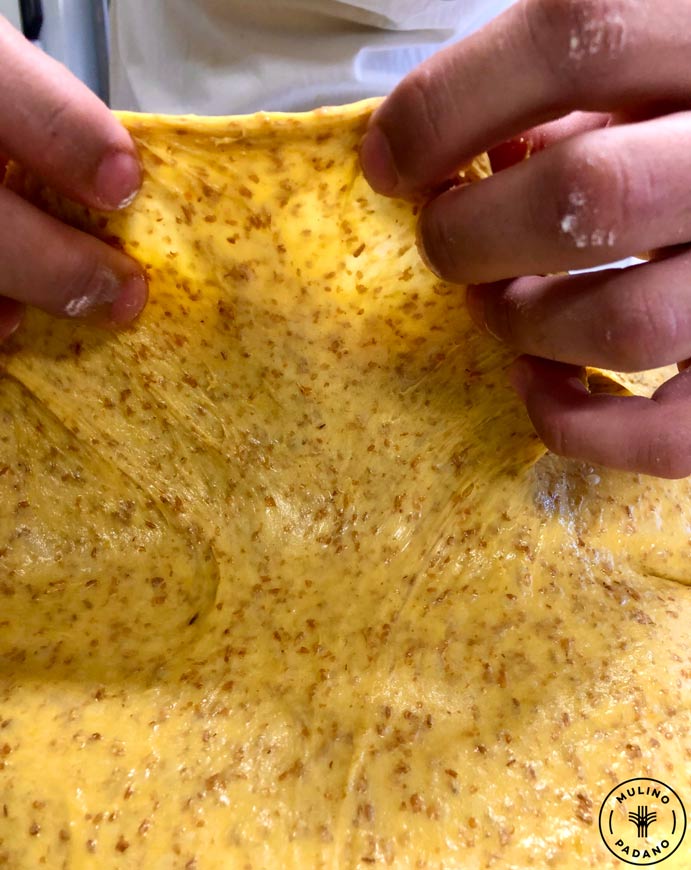 maglia glutinica panettone integrale