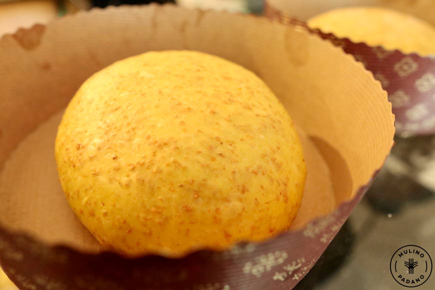 pirlatura panettone integrale