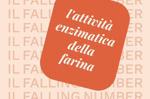 Il Falling Number della farina: come si determina e cosa rappresenta
