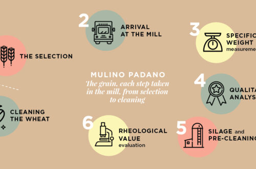 Soft wheat: each step taken in the mill, from selection to cleaning