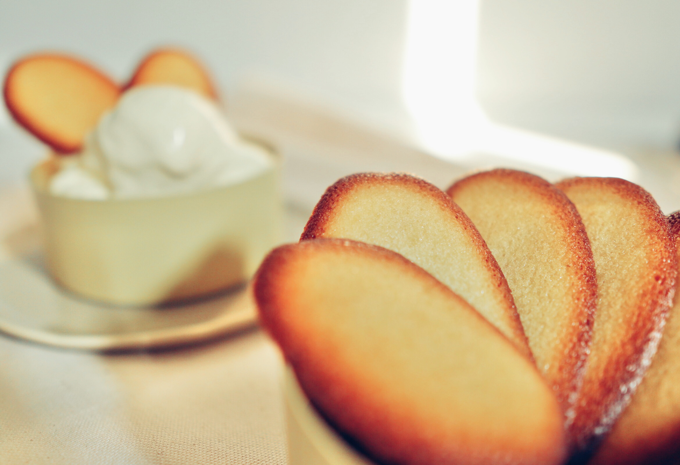 la ricetta delle gustose lingue di gatto con i nostri consigli per la realizzazione