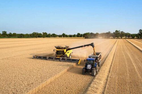 Dal campo al mulino: come funziona la mietitrebbia