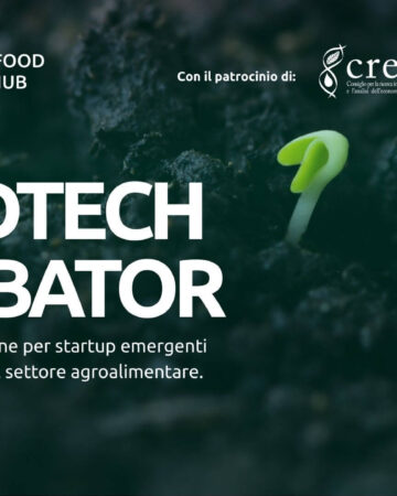 foodtech incubator, incubatore di startup agroalimentare, con Mulino Padano e Verona Agrifood Innovation Hub