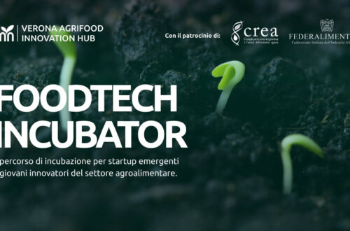 Mulino Padano con Foodtech Incubator per sostenere le startup agroalimentari