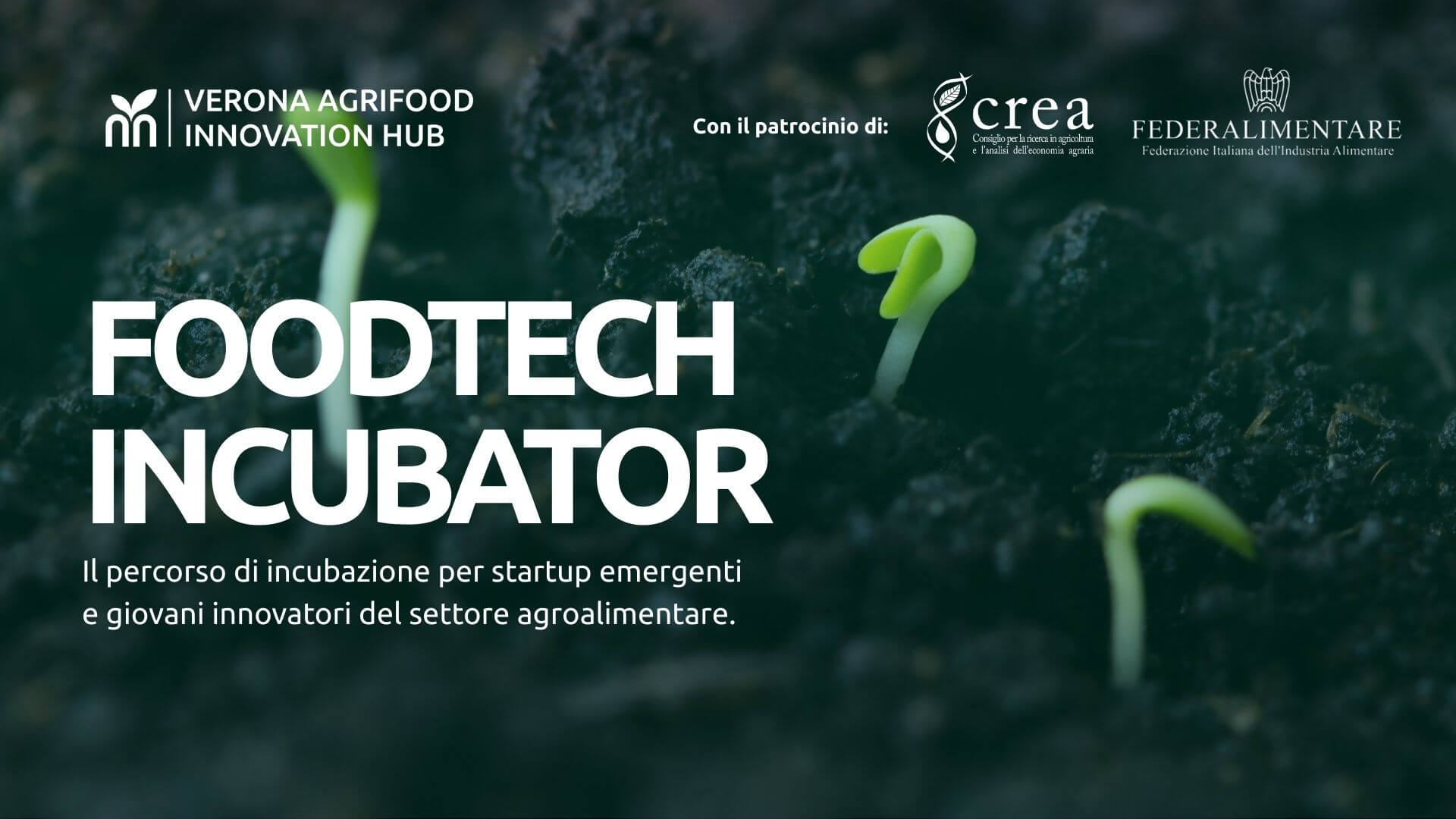 foodtech incubator, incubatore di startup agroalimentare, con Mulino Padano e Verona Agrifood Innovation Hub