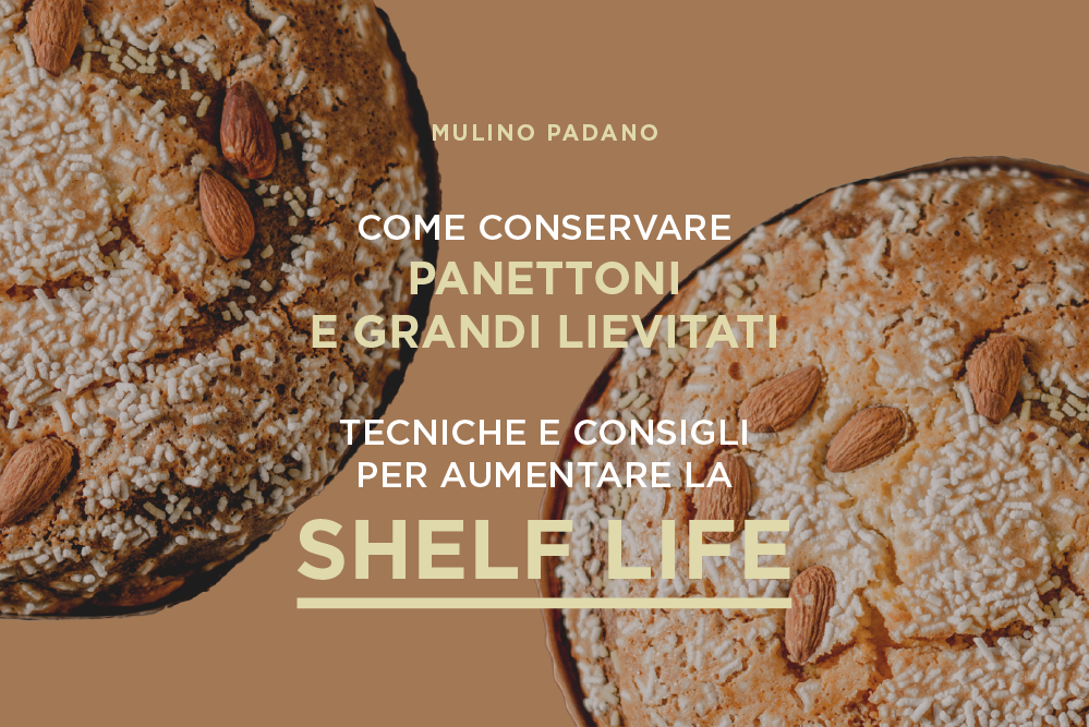 conservazione panettone