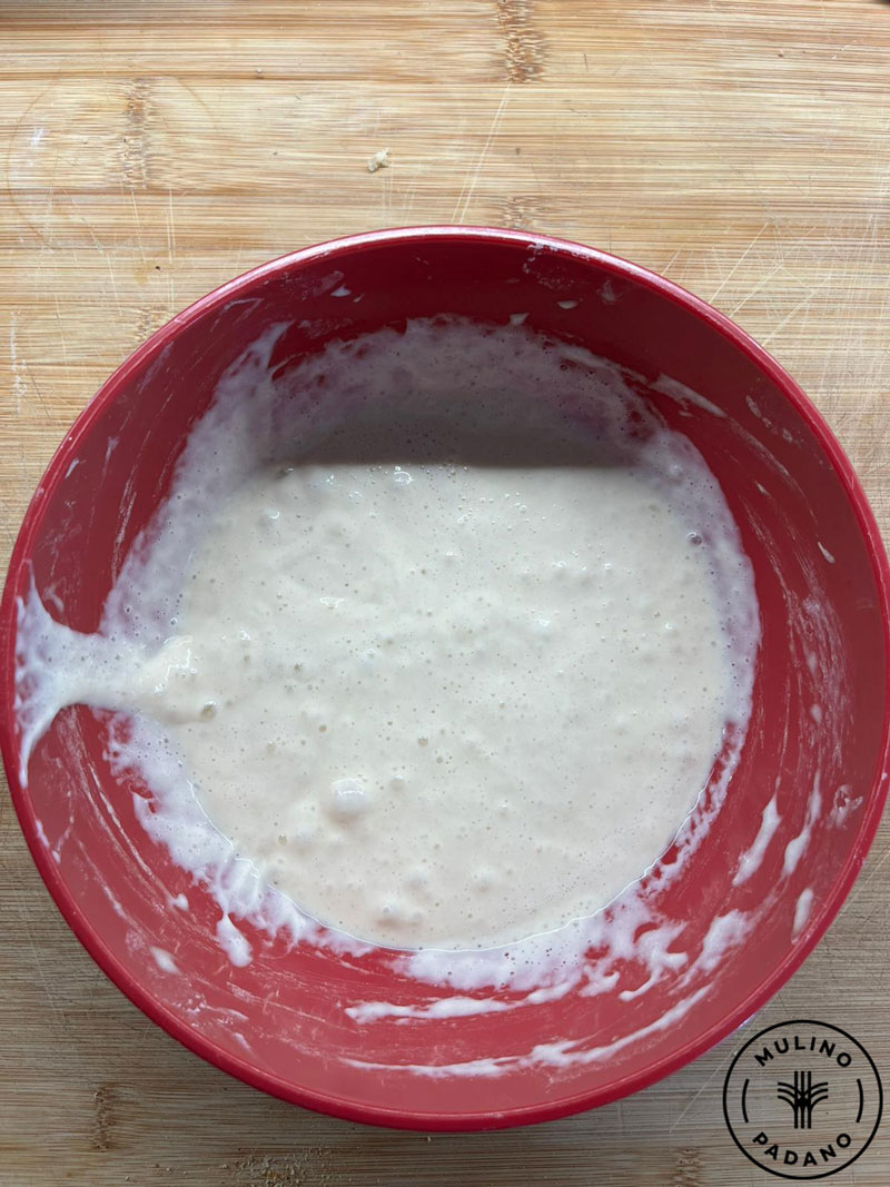 06_licoli_6_mulino_padano_lr