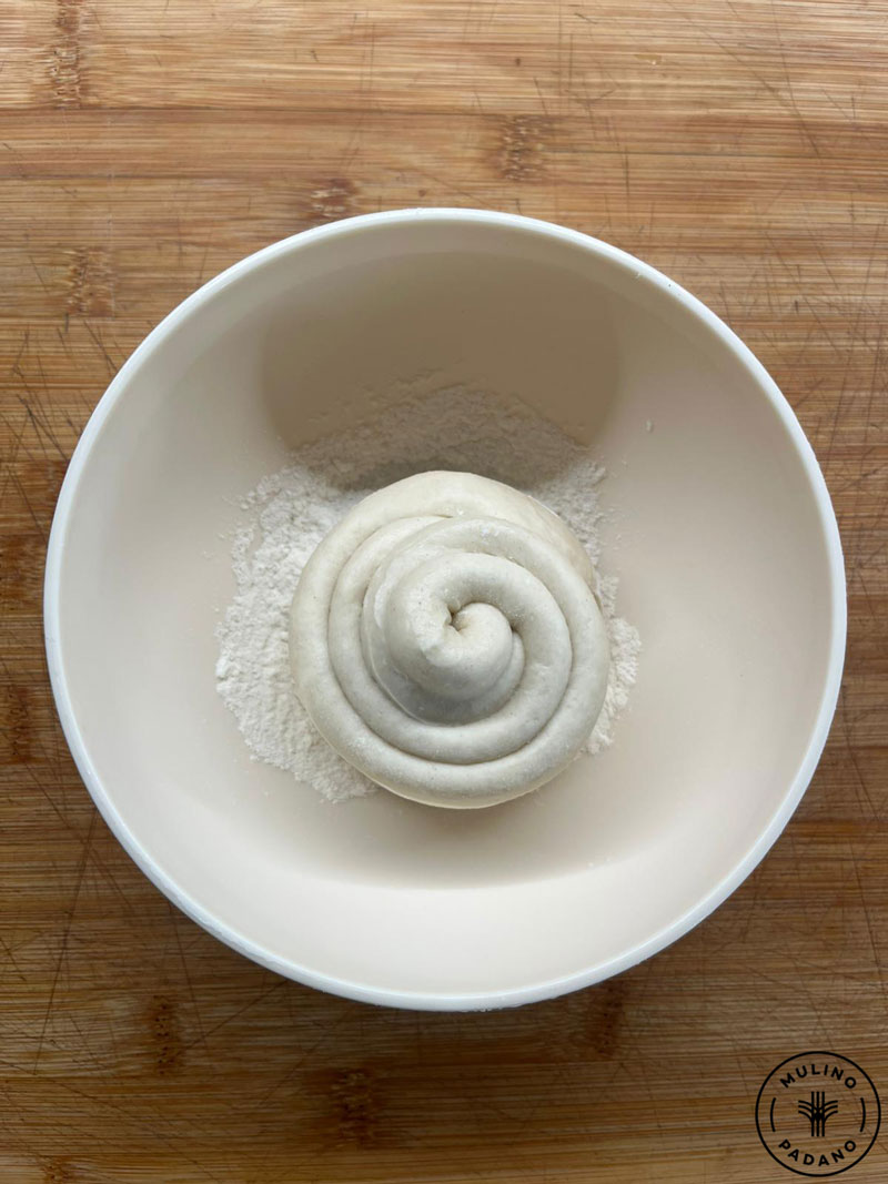 10_lievito_madre_solido_farina_mulino_padano_lr