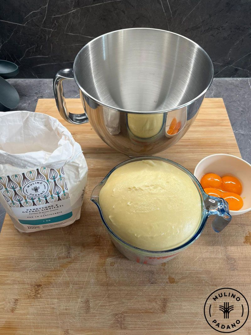 12_farina_panettone_mulino_padano_lr