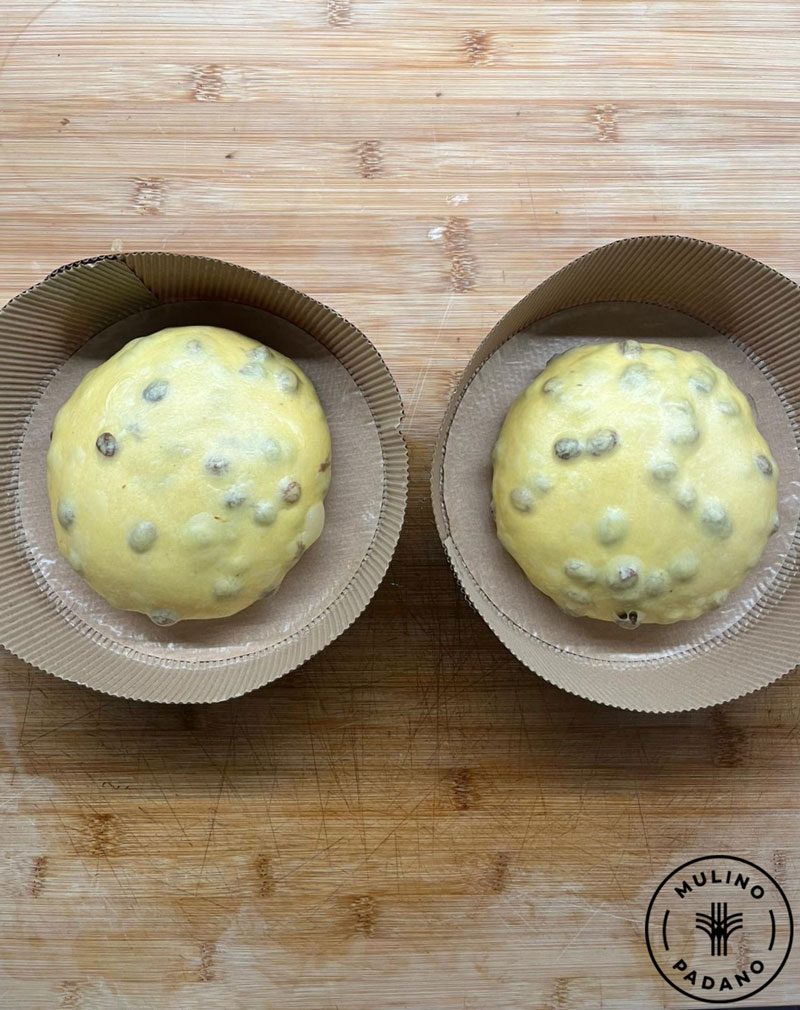 14_panettone_in_pirotino_mulino_padano_lr