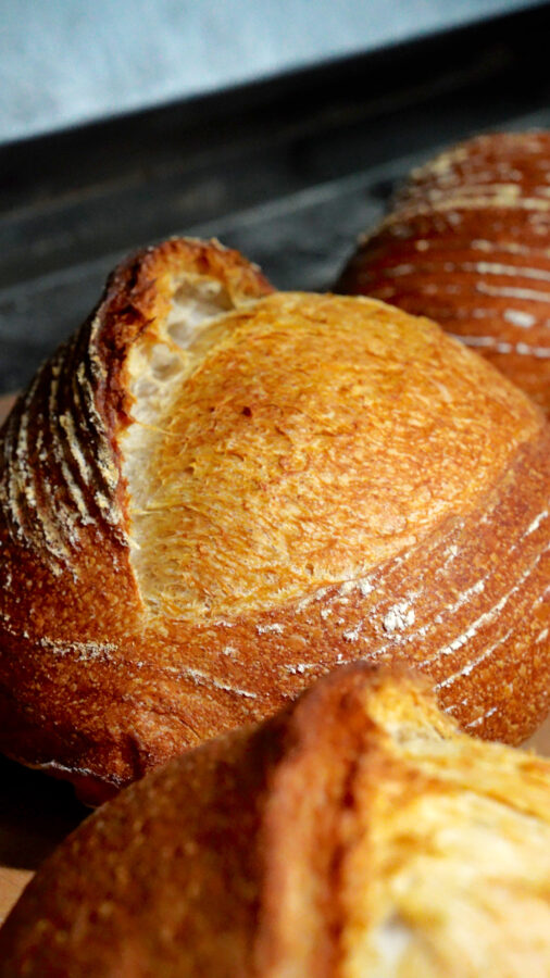 la ricetta professionale del pane con germe di grano