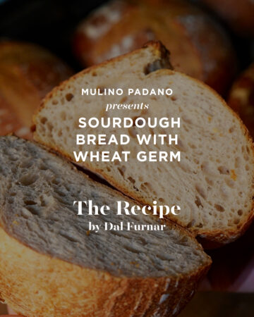 sourdough bread professional recipe