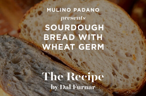 Recipe for Sourdough Bread with Wheat Germ