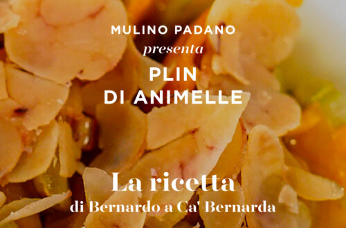 Ricetta dei Plin di animelle con brodo di sedano verde