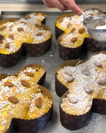 Ricetta colomba pasquale professionale: impasto, lievitazione e cottura perfetta