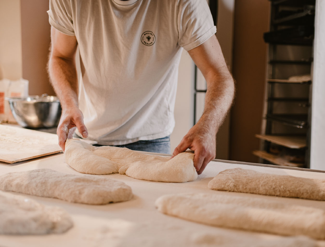 pane ciabatta